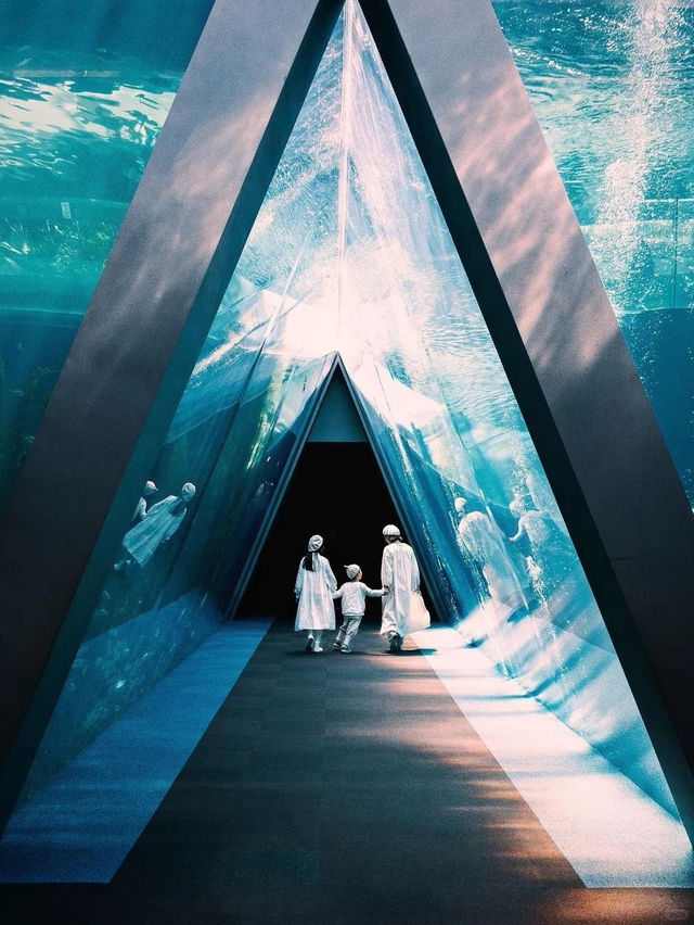 景點推薦：大阪海洋館——與海洋生物零距離接觸