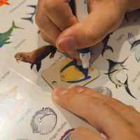 Bluesun artspace