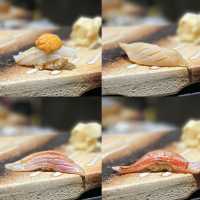 尖沙咀高質omakase🍣