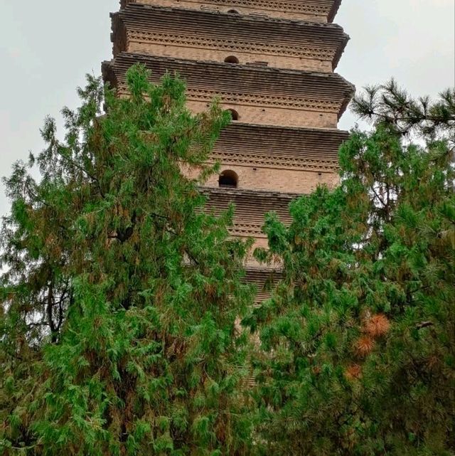 秋天獨旅
