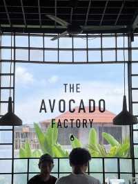 Avocado Heaven: Discover Bali’s Ultimate Green Delight at The Avocado Factory