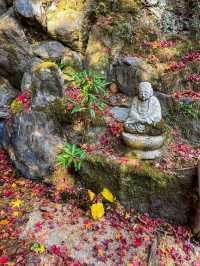 京都嵯峨野の紅葉名所😊🍁小倉山の常寂光寺🍁
