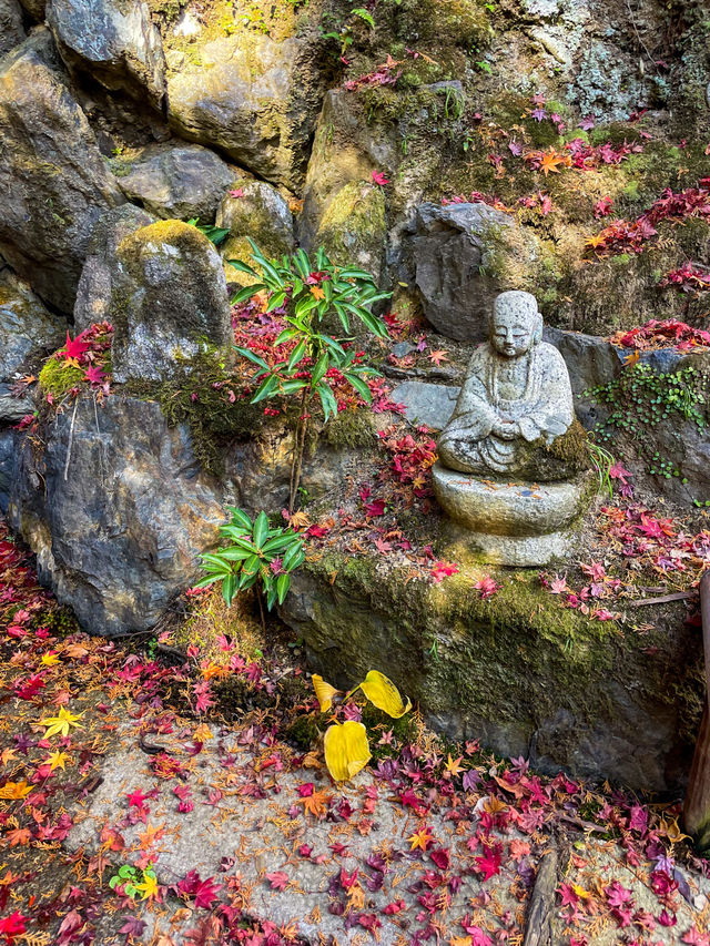 京都嵯峨野の紅葉名所😊🍁小倉山の常寂光寺🍁