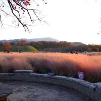 韓國慶州_Walking in Gyeongju 慶洲散策
