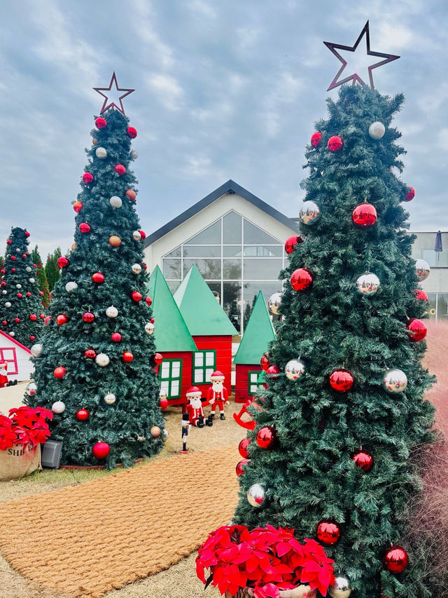 🥳🧸🤍전주 근교 대형카페 오늘 여기