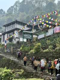 Nepal Trip 12 days | 🥾Poonhill and ABC 9 days 🏔️
