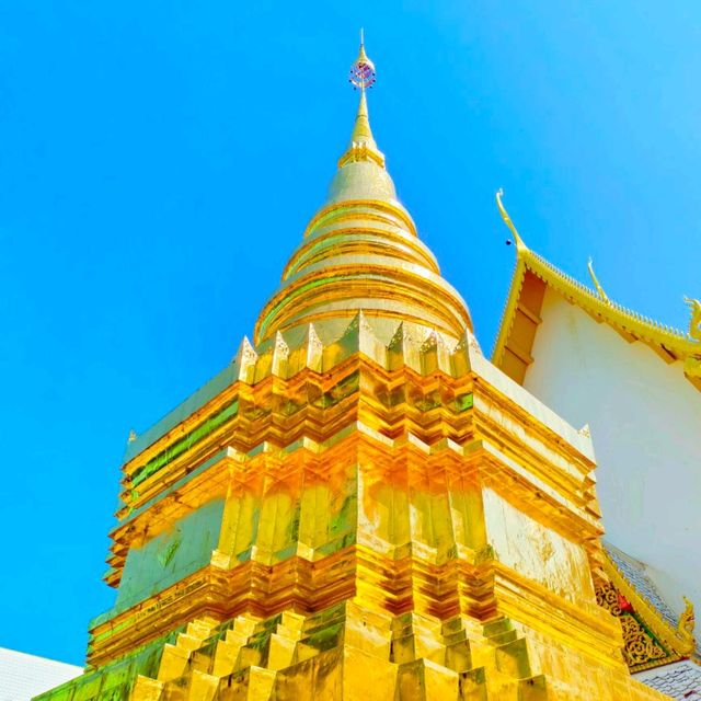 วิจิตรศิลป์ล้านนา วัดสันป่ายางหลวง