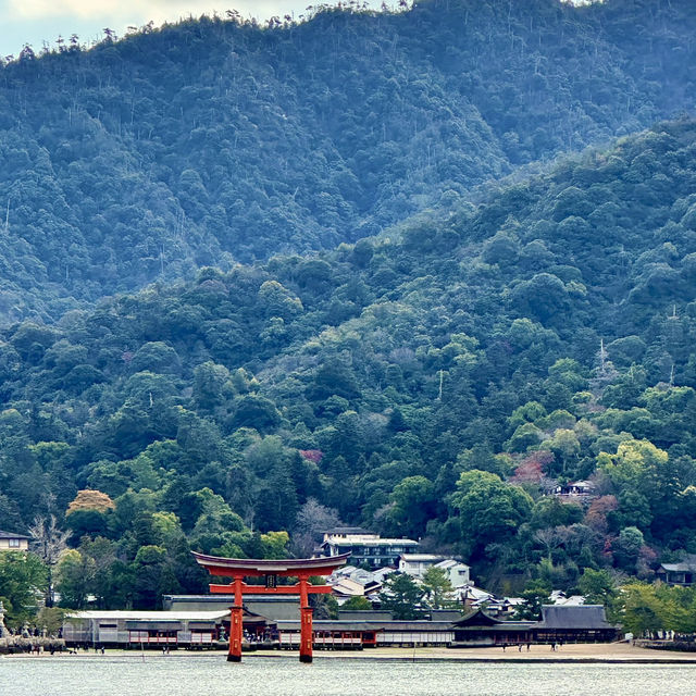 Floating torii gate of Miyajima Island