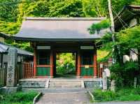 京都🇯🇵 愛宕念佛寺