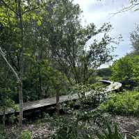 🌿 香港濕地公園：與自然共舞的美好時光 🌿