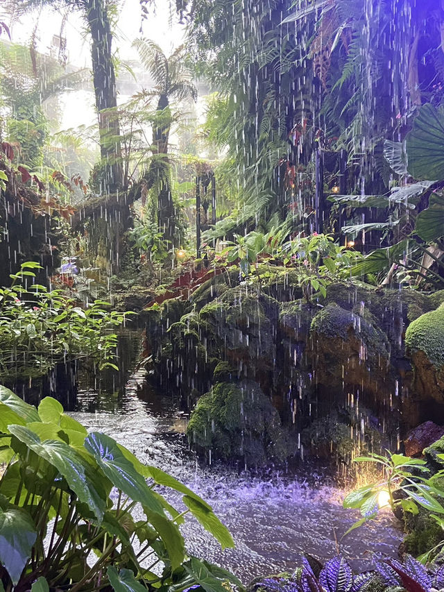 โดมยักษ์ Cloud Forest 🍃