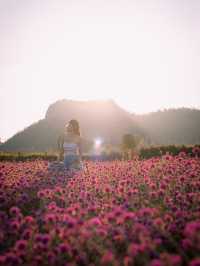 Audrey Hobby Farm - Khaoyai 🌸 เปิดให้เข้าชมแล้วนะ