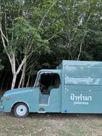 ⛰️ป่าทำมา จังหวัดน่าน🌲