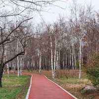 One Day @ Changchun (长春)