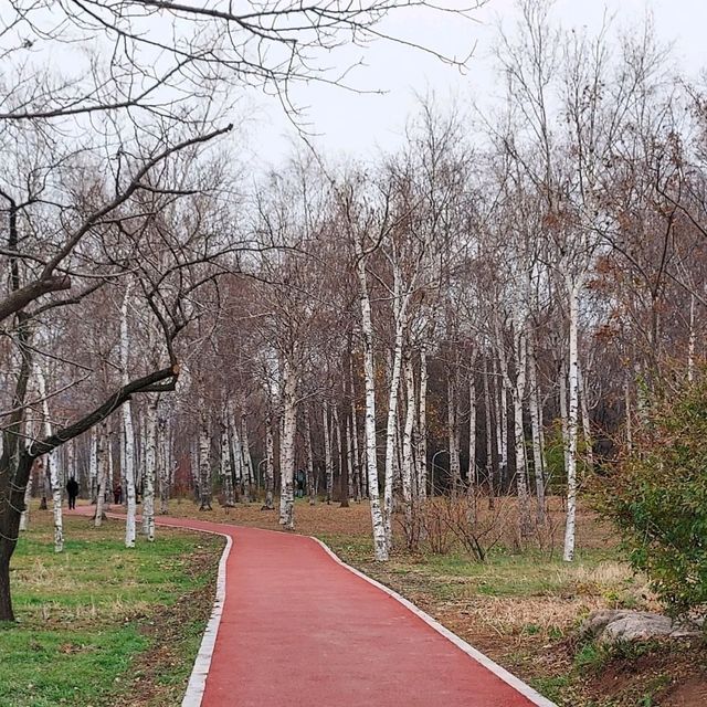 One Day @ Changchun (长春)