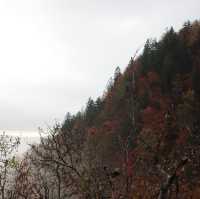 Lake Bled in the Misty Embrace