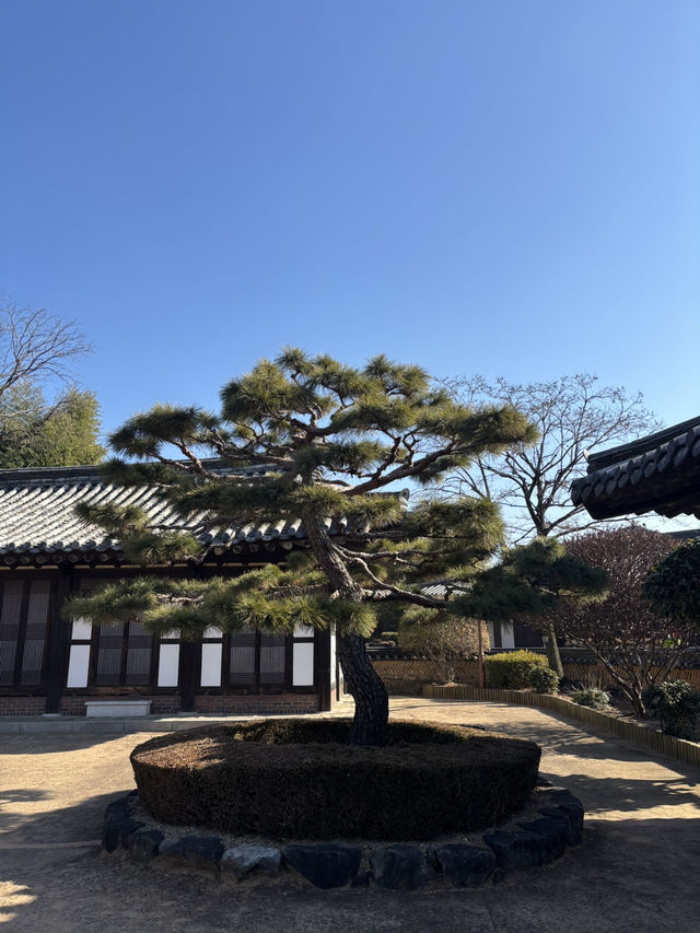 각종 모형물과 사진 영상이 구경가능한 창원 민속관😃