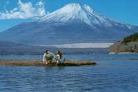 Review of Yamanaka Lake - A Paradise at the Foot of Mount Fuji