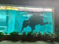 A Perfect Wildlife Escape: Fomasa Safari Park in Melaka Exceeds Expectations