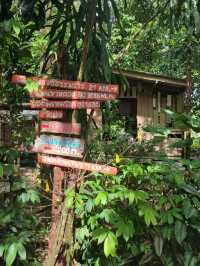 บ้านชาในป่าใน คาเฟ่พรหมคีรี นครศรีธรรมราช