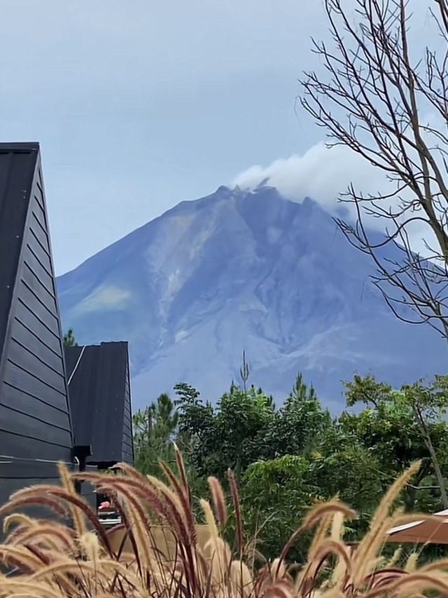 A Sip of Serenity: Sarune Coffee, Medan