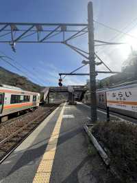 【長野】レトロな駅舎🚉沿線に梅が咲き誇る駅