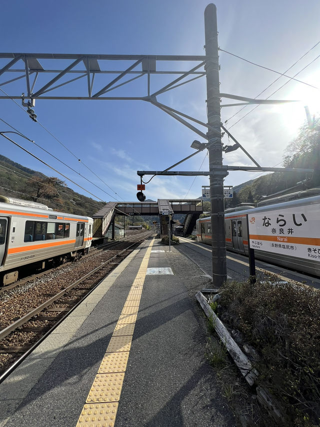 【長野】レトロな駅舎🚉沿線に梅が咲き誇る駅