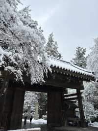 【宮城×冬の旅】   瑞鳳殿の手前のお寺  可愛いお地蔵さんが並んでいます