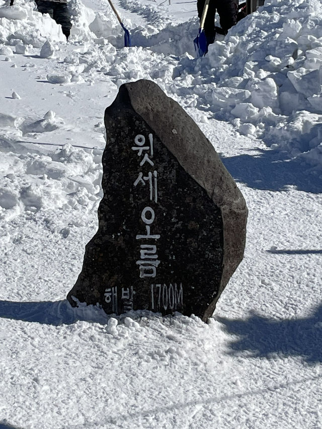 예약이 필요없는 등린이도 가능한 눈꽃산행