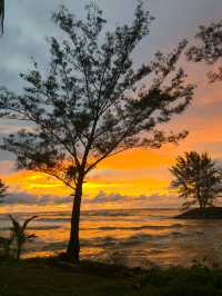 Where sunset whisper and waves sing