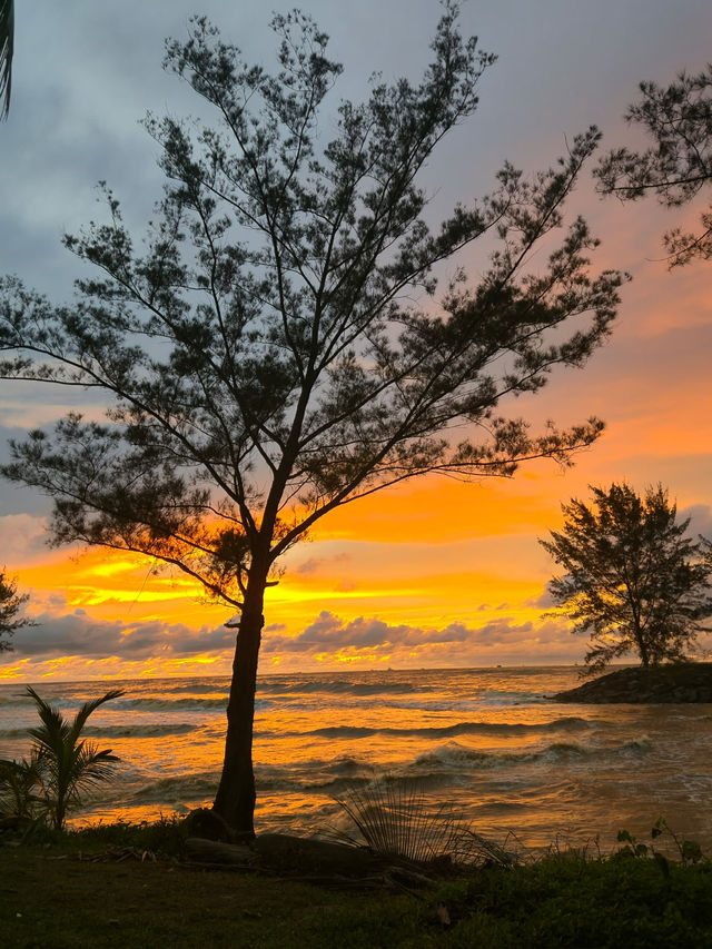 Where sunset whisper and waves sing