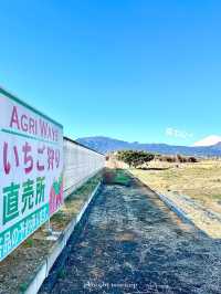 富士山が見える場所にあるいちご狩り🍓【神奈川】