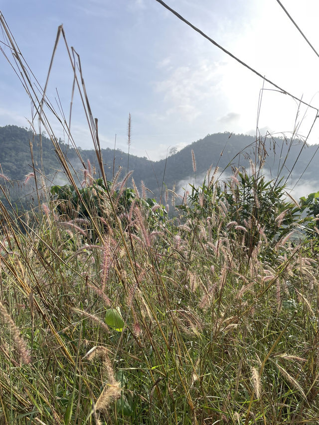 Beautiful landscape in Jeli Kelantan 