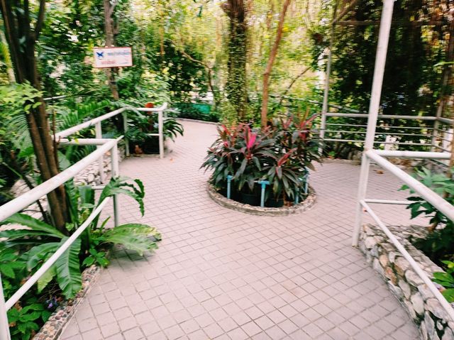 泰國曼谷特色博物館景點:曼谷蝴蝶館。免費參觀，適合打卡拍照📸親子遊