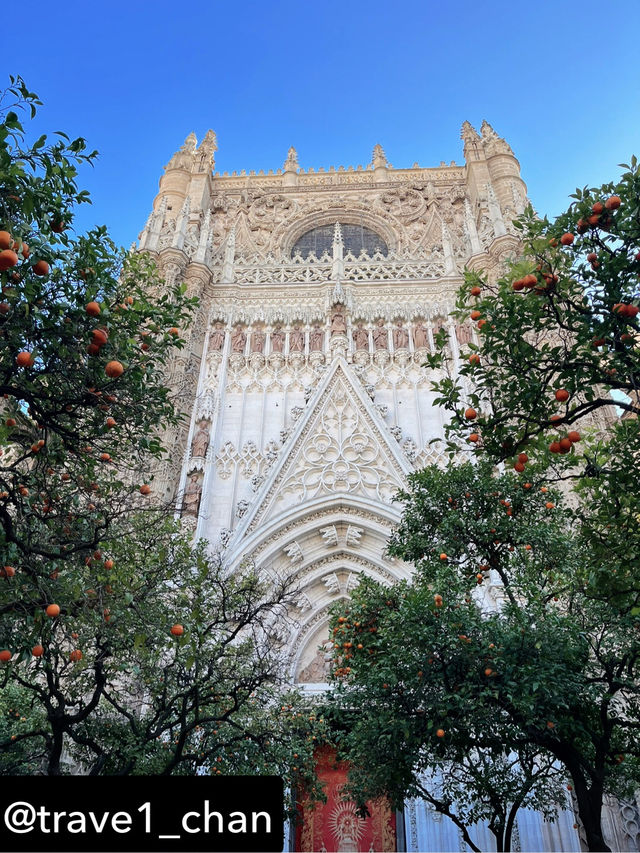 【スペイン🇪🇸セビーリャ、セビリア】オレンジと青空と歴史の美しさ