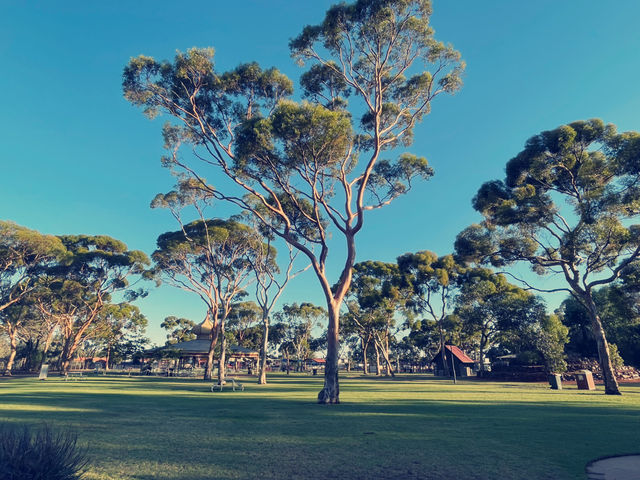 Hammond Park- Natures beauty of Kalgoorlie