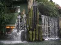 A Peaceful Pause: Hong Kong’s Best Kept Secrets—Chi Lin Nunnery and Nan Lian Garden