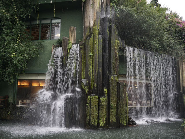 A Peaceful Pause: Hong Kong’s Best Kept Secrets—Chi Lin Nunnery and Nan Lian Garden