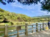 週末好去處🔥如非洲草原般的深圳「東湖公園」🌴🏞️