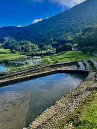 肉腳朝聖芒草勝地～二子坪步道&大屯山步道連走