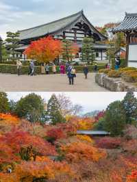 Tofukuji Temple หนึ่งในจุดชมใบไม้เปลี่ยนสีเกียวโต🍁