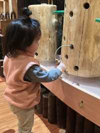 台北｜華山木育森林