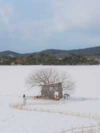 메밀꽃밭 대신 새하얀 눈꽃밭에서 도깨비 만나고 오세요❄️🤍 