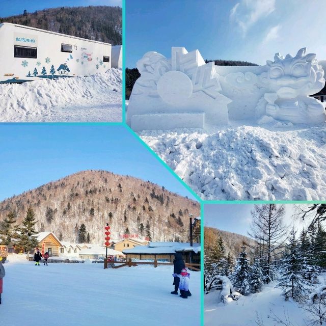 แจกแพลนเที่ยว🧳Harbin-China's Snow Town(Xuexiang) 
