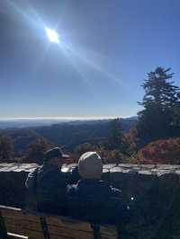 A Quick Mountain Hike to Mt. Takao