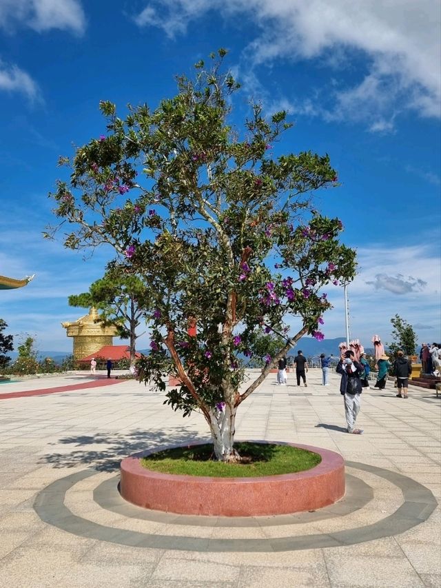 Lâm Hà - Lâm Đồng