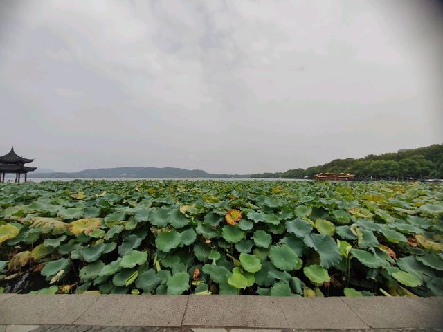 A must-visit place in Hangzhou is West Lake!