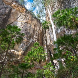 Carnarvon Gorge Adventure: A Hiker's Dream