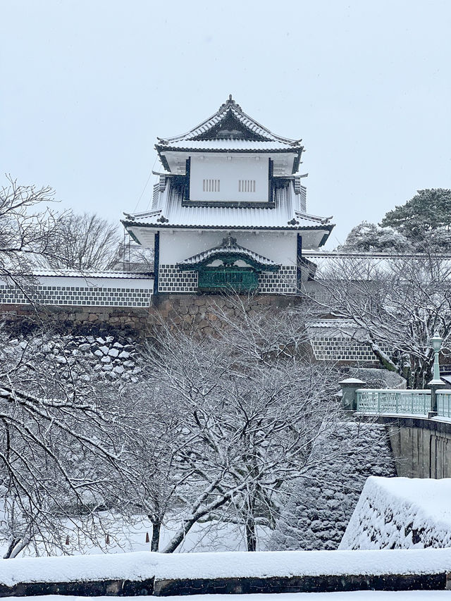 【金沢】幻想的な雪景色の兼六園