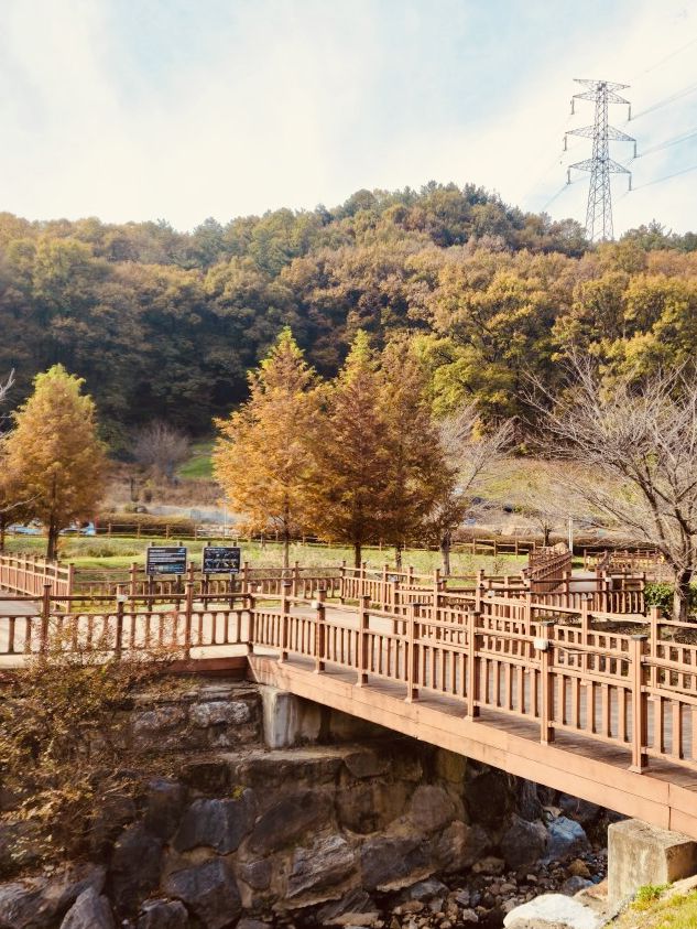 A Beautiful Park for All Seasons 🌸